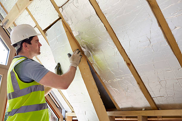 Best Insulation Contractors for Homes  in Ripon, CA